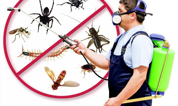 Diệt côn trùng các loại